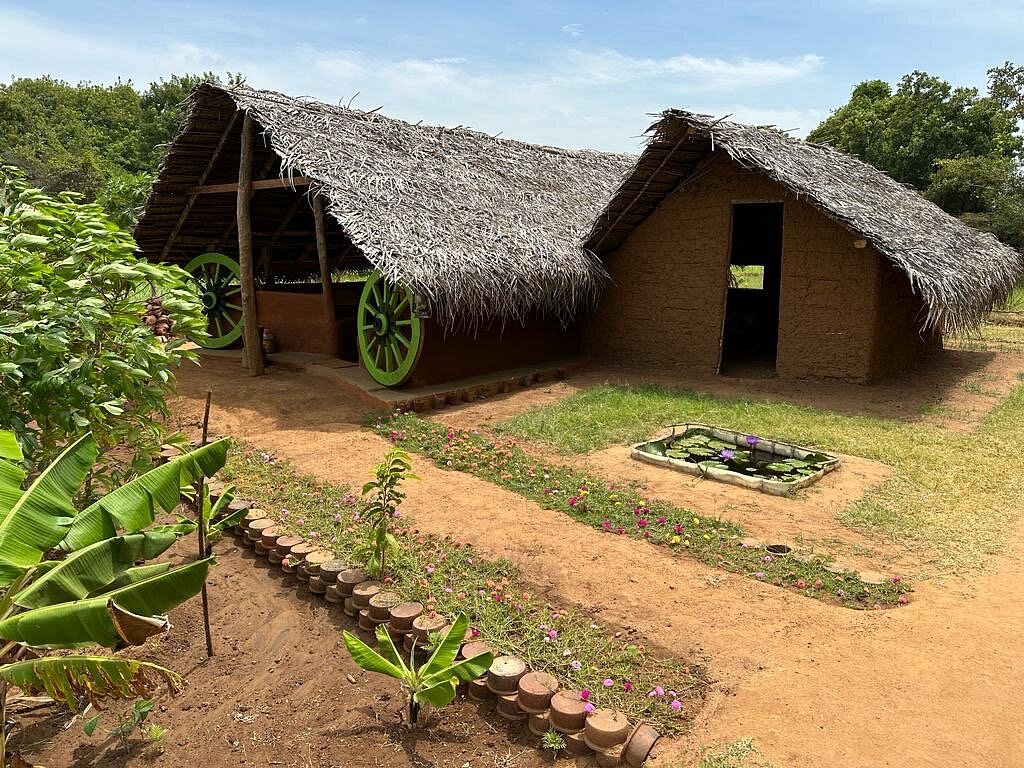 Authentic Sri Lankan Village Walk - Image 2