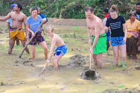 A Farmer's Life - Paddy Field & Village Walk - Image 2